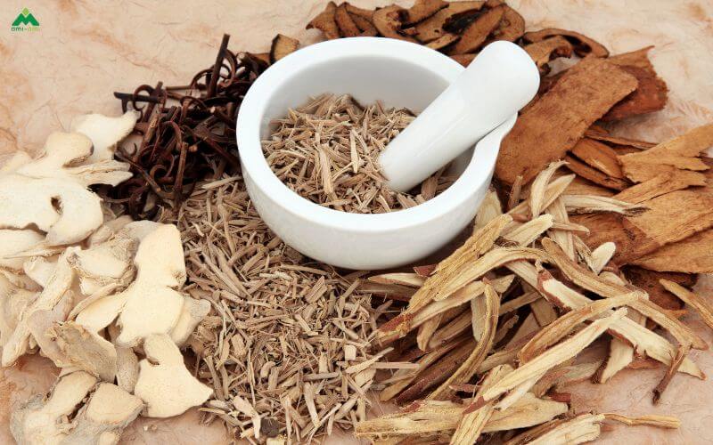 Chuẩn bị dược liệu