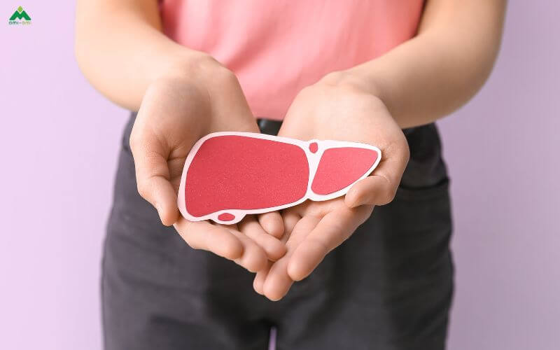 Tăng cường chức năng gan và thận