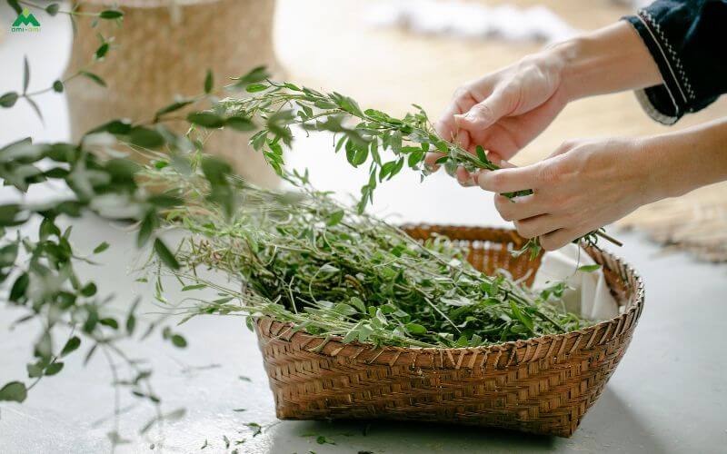 Trải nghiệm thư giãn tại nhà tiện lợi và tiết kiệm