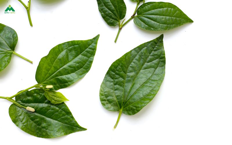 Sử dụng lá trầu không