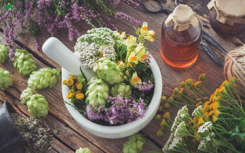 Hướng dẫn xông hơi vùng kín tại nhà