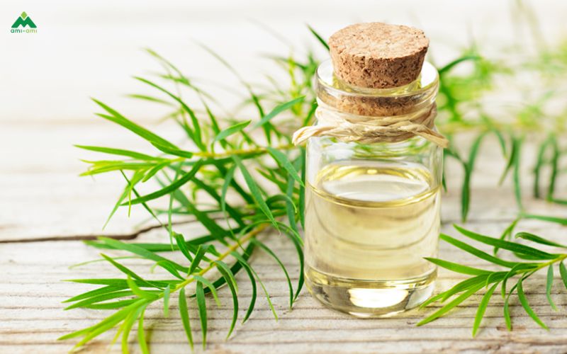 Những loại tinh dầu phù hợp để ngâm xông tắm giúp giải cảm, giải độc