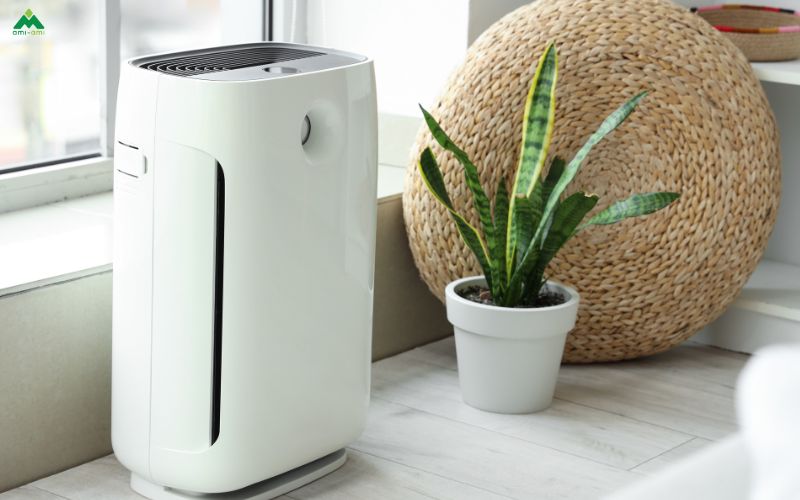 Vệ sinh môi trường sống và duy trì thói quen hằng ngày lành mạnh là yếu tố quyết định trong việc ngăn chặn sự xâm nhập và lây lan của virus cúm trong không gian sống