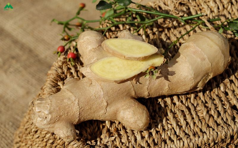 Những loại thảo dược thường dùng để xông khi đau bụng kinh