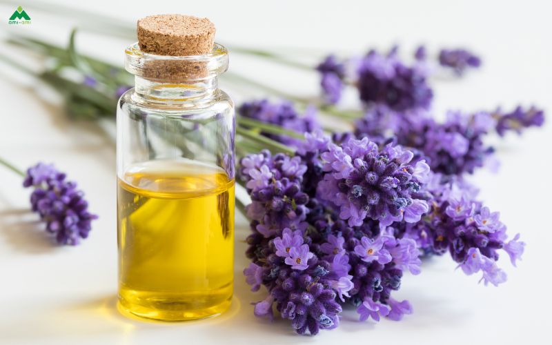 Những loại thảo dược thường dùng để xông khi đau bụng kinh