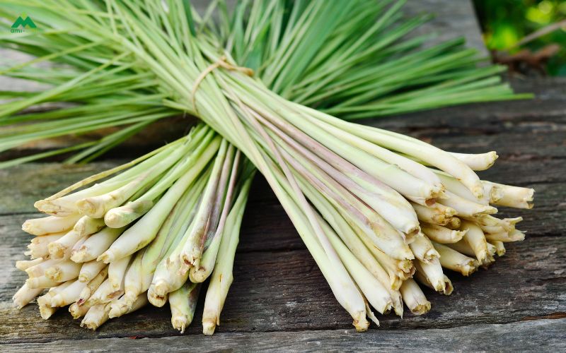 Vì sao xông sả Covid được nhiều người áp dụng?