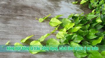 Xông mặt bằng lá trầu: Công dụng, cách làm và lưu ý an toàn