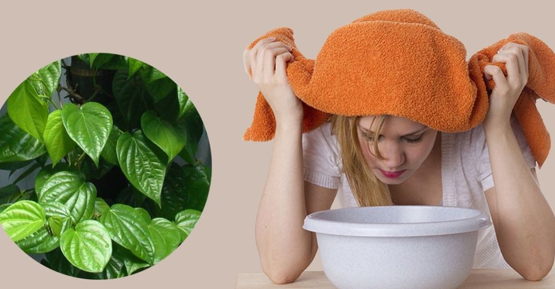 Xông mặt bằng lá trầu không có tốt không?