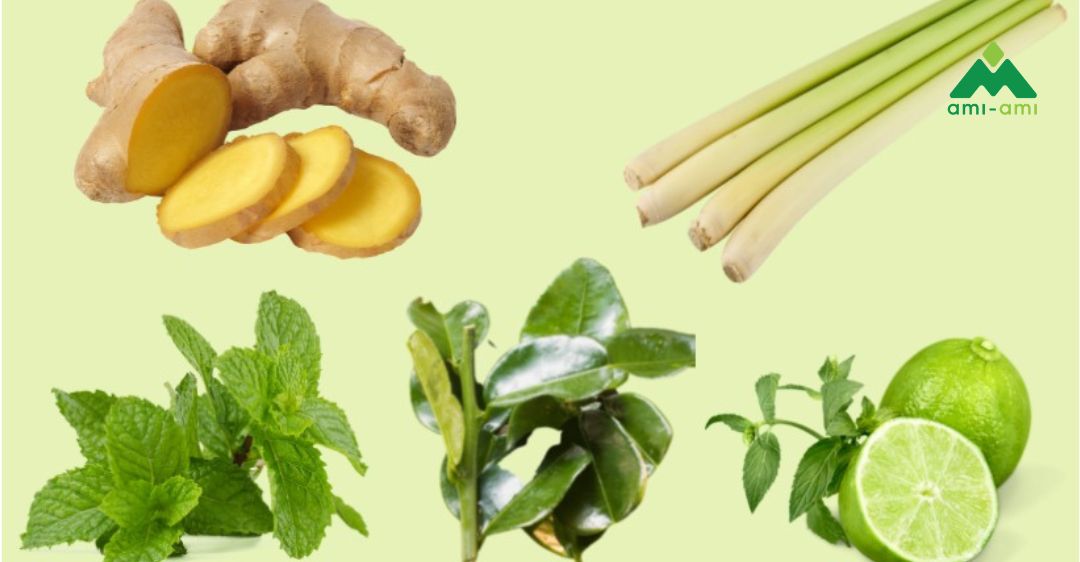 Xông mũi họng: Tác dụng và cách làm chuẩn 2 Xông mũi họng là gì?