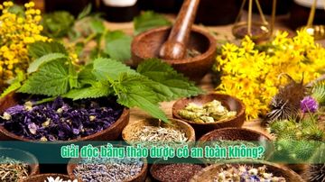 Giải độc bằng thảo dược có an toàn không?