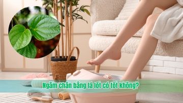 Ngâm chân bằng lá lốt có tốt không?