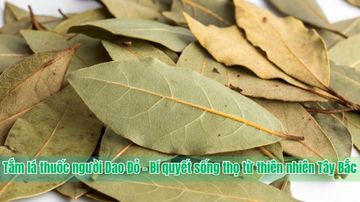 Tắm lá thuốc người Dao Đỏ – Bí quyết sống thọ từ thiên nhiên Tây Bắc