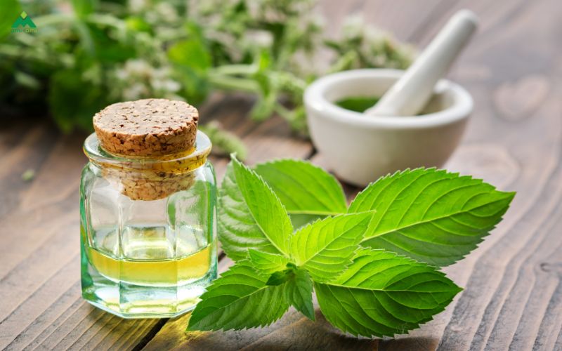 5 loại tinh dầu tốt nhất để xông giải cảm tại nhà