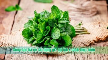 Xông bạc hà có tác dụng gì? Lợi ích & cách thực hiện