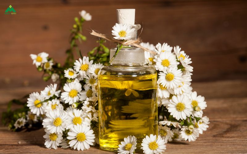 Những công thức xông mặt trị mụn hiệu quả