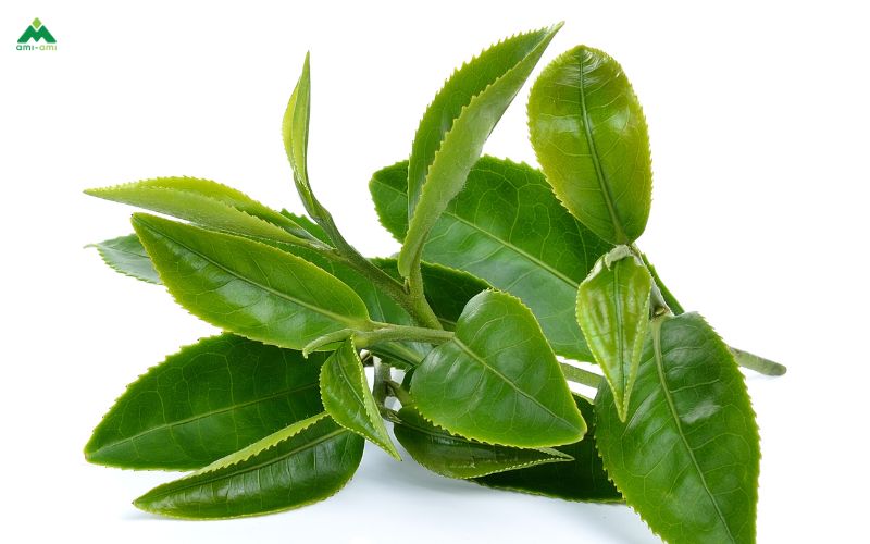 Hướng dẫn chi tiết cách thực hiện