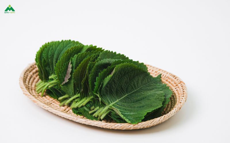 Vì sao tía tô được dùng để xông mặt?