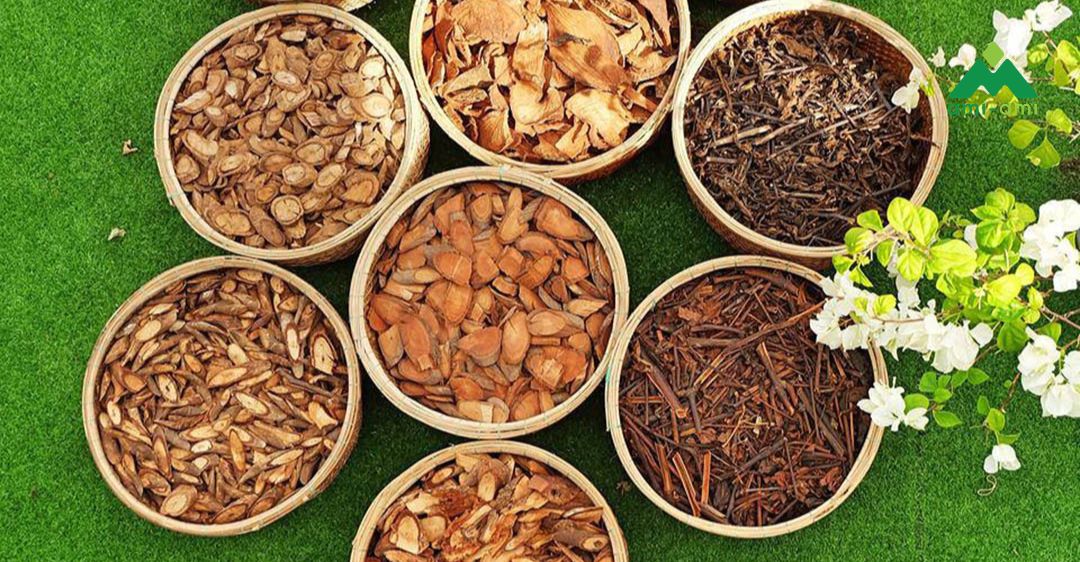 Lá tắm người Dao đỏ gồm những gì?