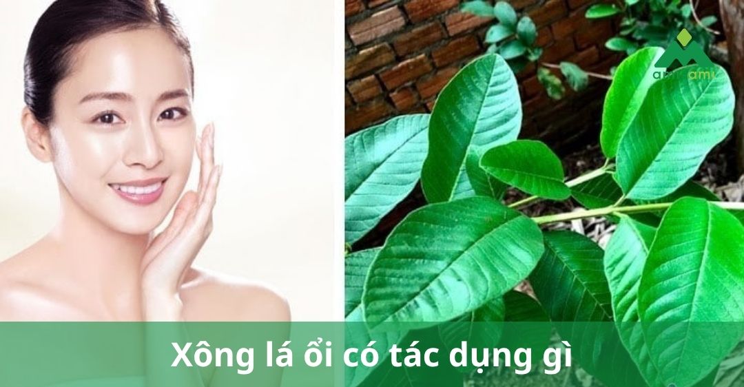 Xông lá ổi có tác dụng gì