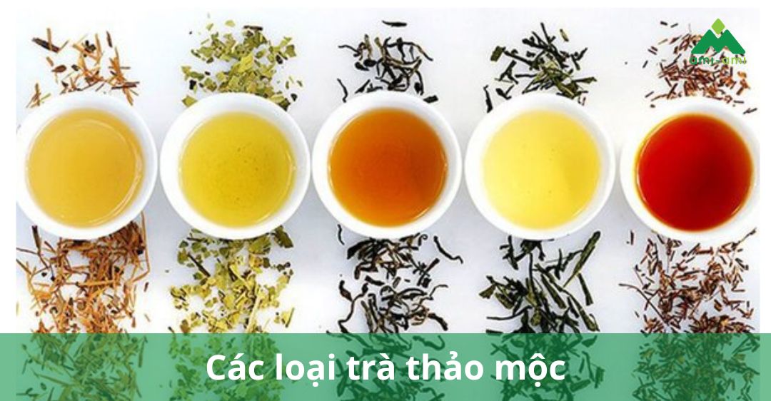 Các loại trà thảo mộc