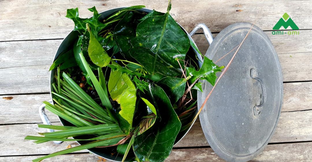 Tác dụng của việc sử dụng lá xông hơi đối với cơ thể