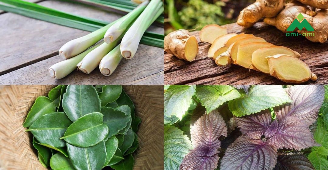 Các loại lá xông hơi thường dùng