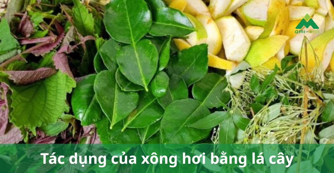 tác dụng của xông hơi bằng lá cây