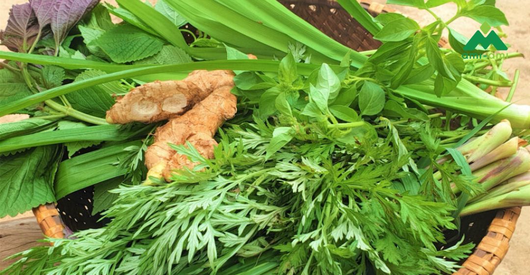 Nguyên liệu xông hơi giải cảm