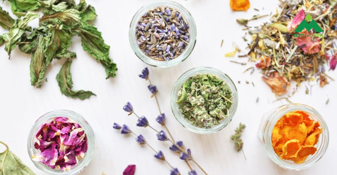 Các loại thảo dược thường dùng khi xông hơi