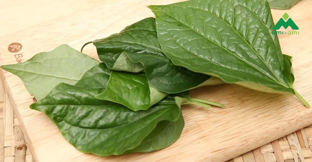 Xông hơi bằng lá lốt