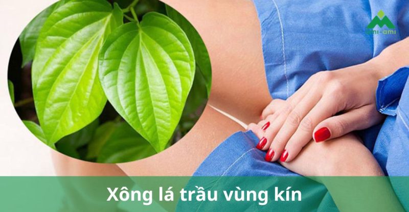 xông lá trầu vùng kín