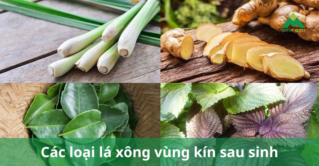 Các loại lá xông vùng kín sau sinh