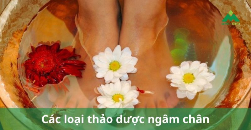 các loại thảo dược ngâm chân
