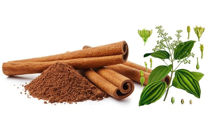 Vỏ quế kết hợp hoa tiêu