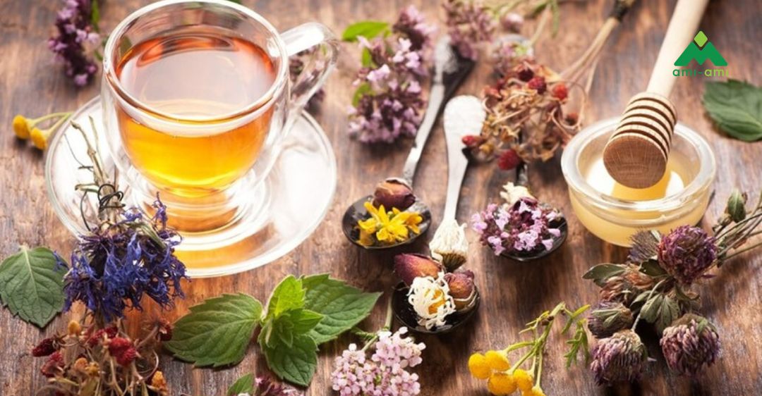 Tìm hiểu về trà thảo mộc