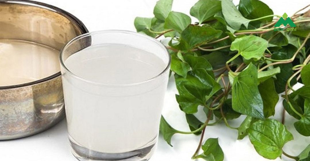 rau diếp cá và nước vo gạo