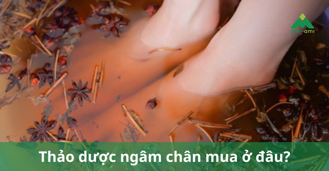 thảo dược ngâm chân mua ở đâu