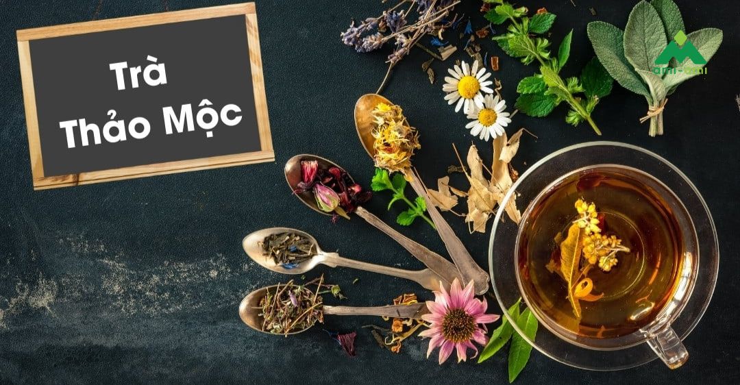 Trà thảo mộc là gì?