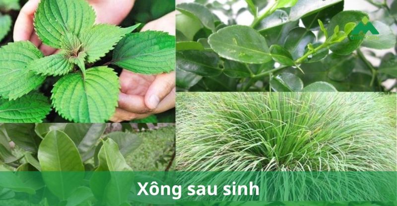 Xông sau sinh