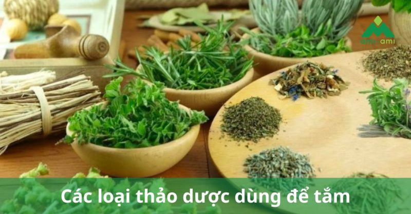 các loại thảo dược dùng để tắm