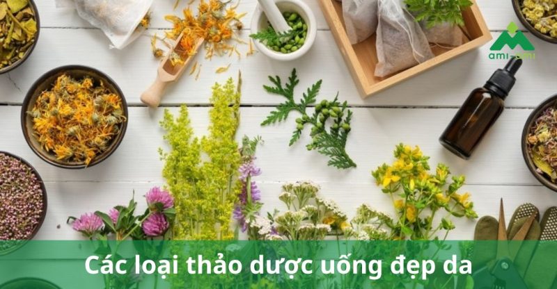 Các loại thảo dược uống đẹp da