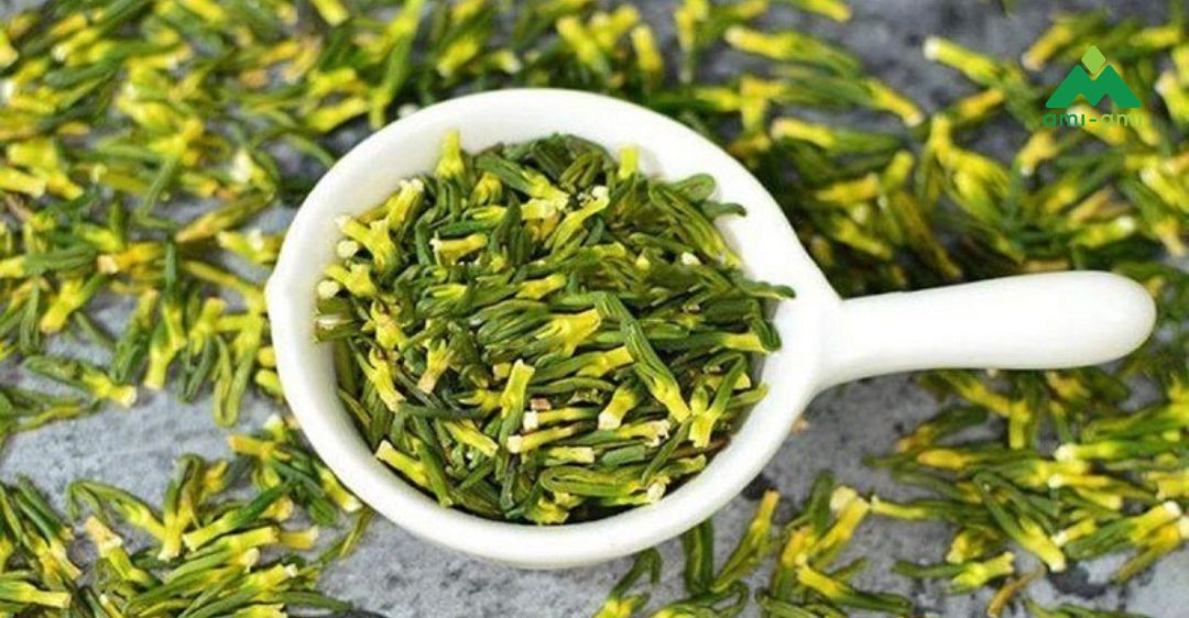 13 loại thảo dược trị mất ngủ an toàn và hiệu quả 11 Tâm sen