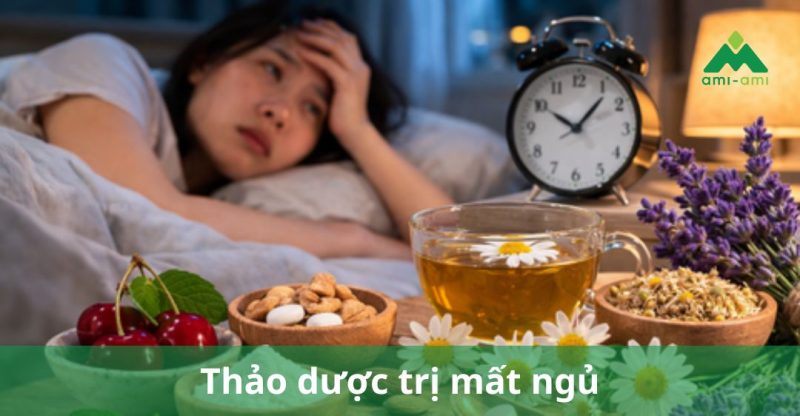 Thảo dược trị mất ngủ