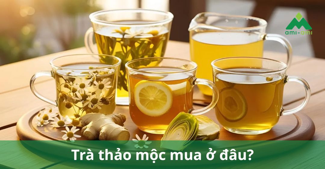 trà thảo mộc mua ở đâu