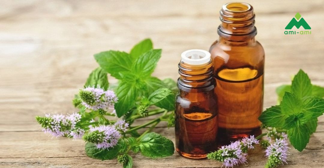 Tinh dầu bạc hà là gì?