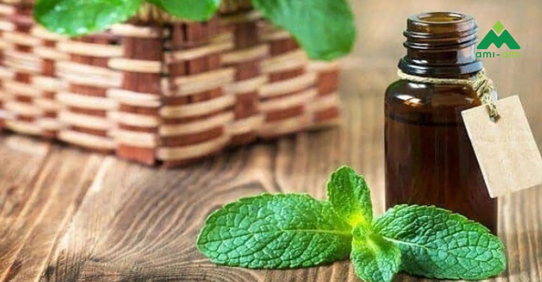 Những lưu ý khi sử dụng tinh dầu bạc hà