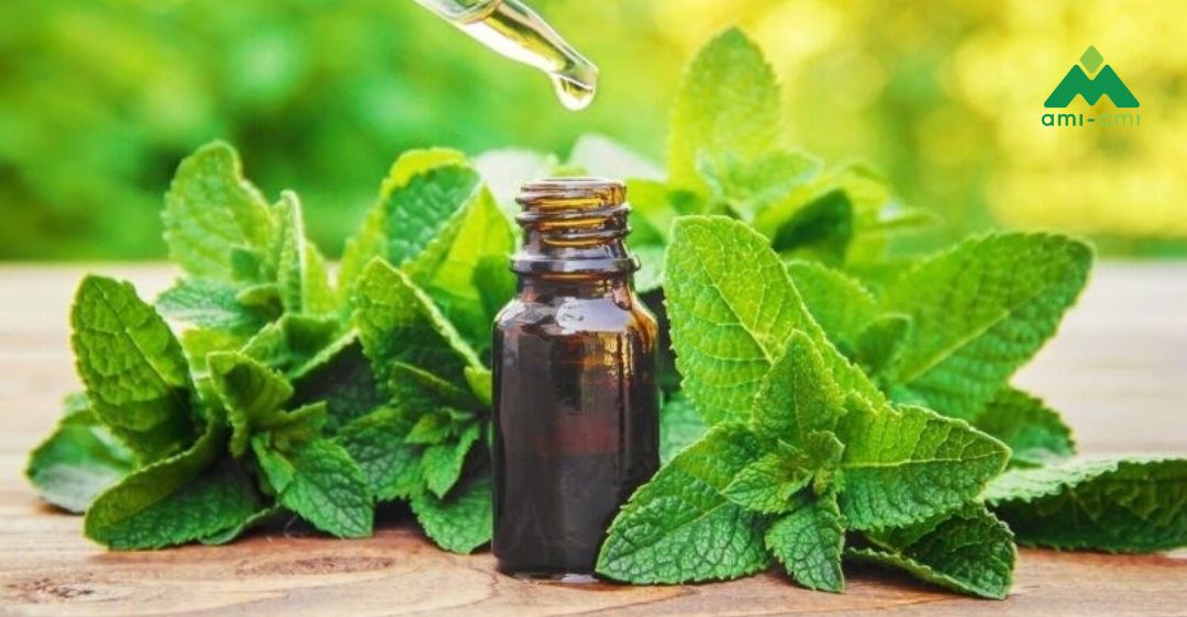 Hỗ trợ tiêu hóa, giảm khó tiêu