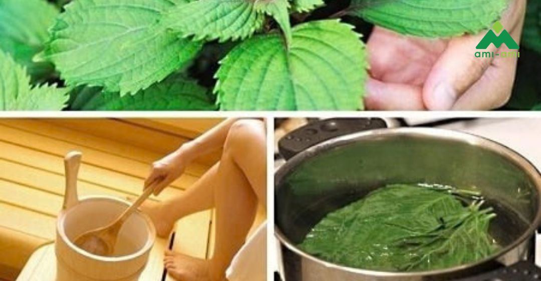 Cách xông hơi vùng kín bằng lá tía tô
