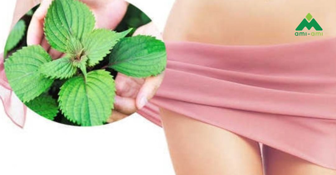 Những lưu ý khi xông hơi vùng kín bằng lá tía tô