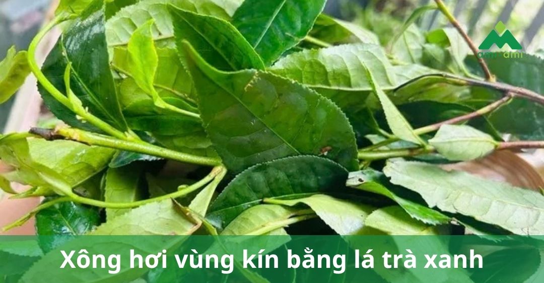 Xông hơi vùng kín bằng lá trà xanh sau sinh: Nên hay không? 11 Xông hơi vùng kín bằng lá trà xanh